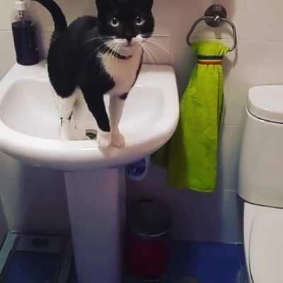 Batman in the mornings