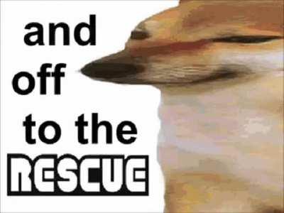 The best counter to valid points