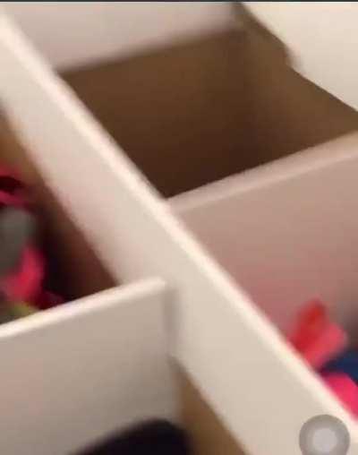 I think he handled himself properly…