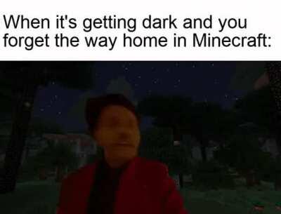 My first Minecraft meme