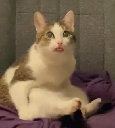 I came home from work unexpectedly :D