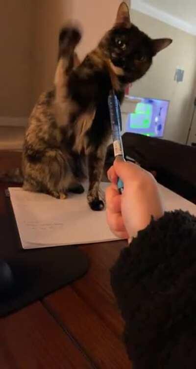 My secretary is boycotting her job of filling in my planner