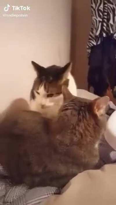 *Monch* credit to u/David-EN-