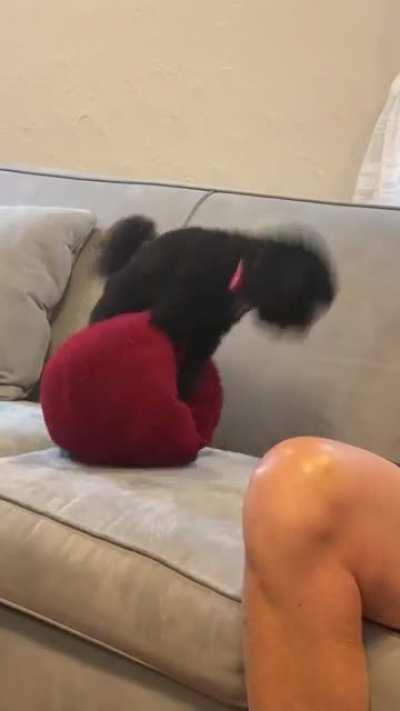 Does this count? My 8 yo daughter calls it ‘hoeing’ for an unknown reason