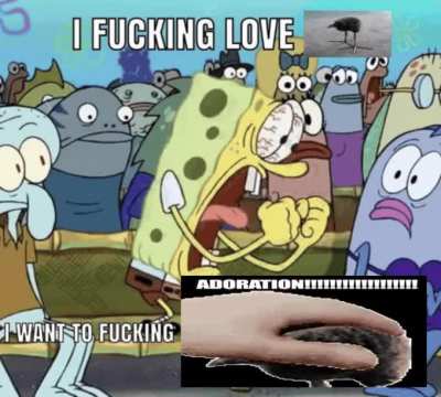 GLAZING!!!!!!!!!!!!!!!!