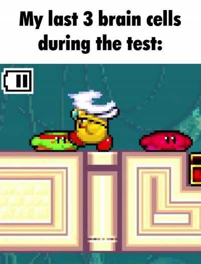 My last 3 brain cells during the test: