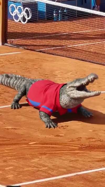 Wtf is this and why is it so well done 😭😭🐊