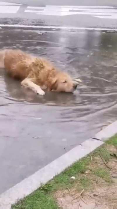 Puddledog