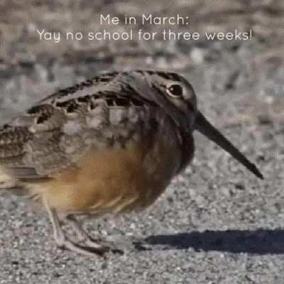 I don't know what to put here.