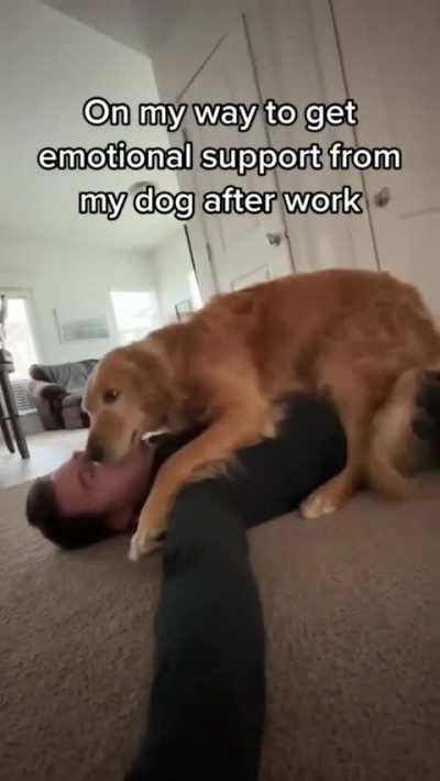 The very best therapy