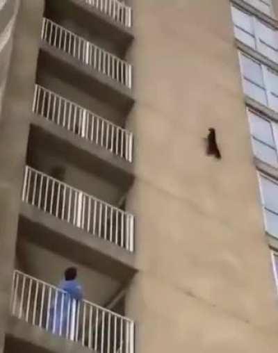 How the hell he went there...