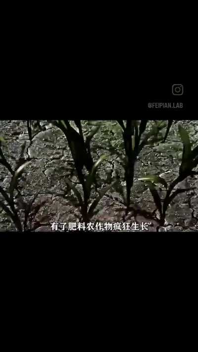 Xinese shitposting edits be like