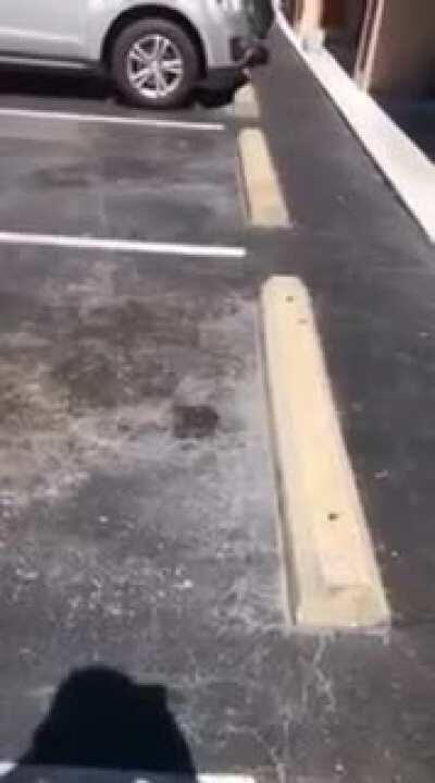 Should of stayed in the car