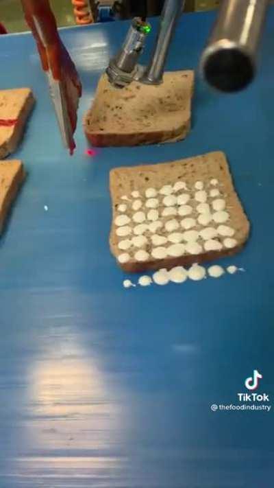 Shitty sandwich maker