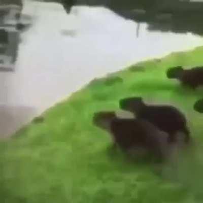 ITS ABOUT DRIVE 🚗 ITS ABOUT POWER 💪