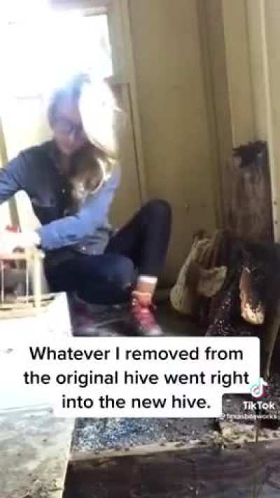 Did you know a quarter of all known bee species haven’t been recorded since the 1990s? Save the bees, save the world 🐝❤️