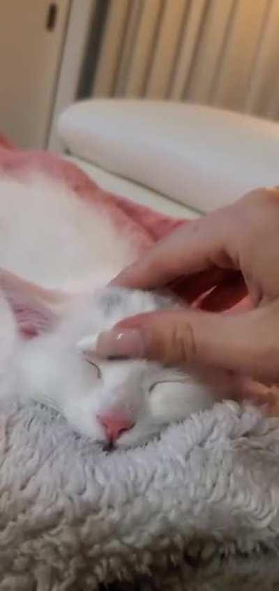 Never have I ever felt so much love 🥺🤍