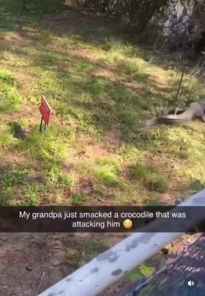 Granpa bill vs swamp gator