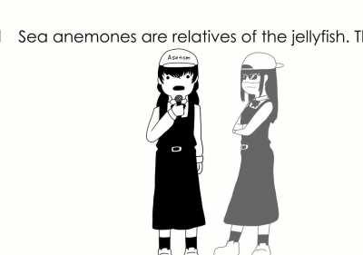 Asa vs the Rapper devil