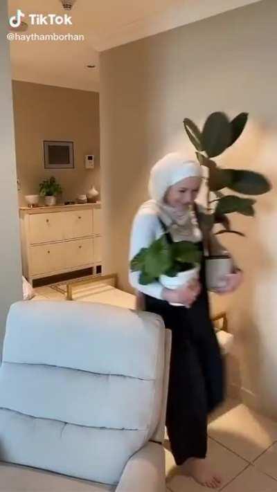 Explained my houseplant addiction I developed during lockdown to a friend the other day. She sent this onto me today. Hard relate.