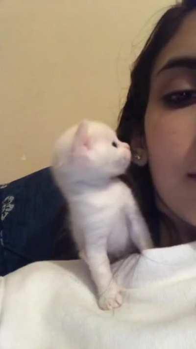 Любовь это...