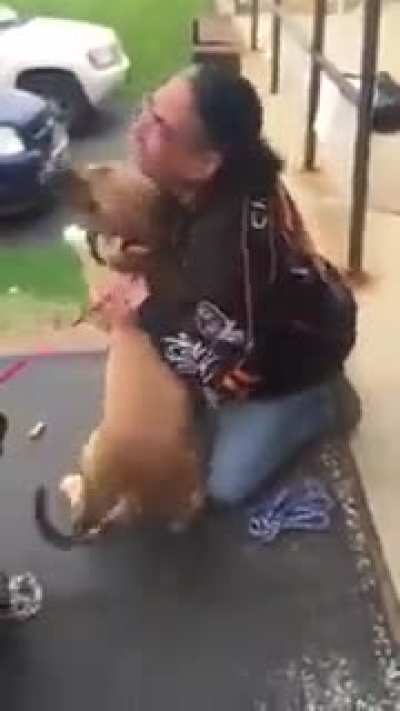 Dog has the sweetest reunion with owner after two years apart. 🐶🐾❤️