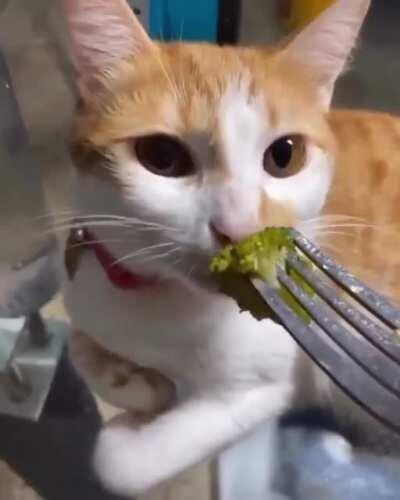 What could go wrong if I sniff broccoli?