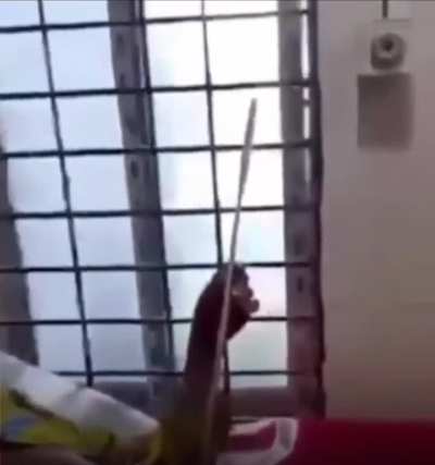 Average Bangbro vs average Northeast Indian