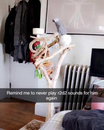 Mistakes were made and lessons learned too late.