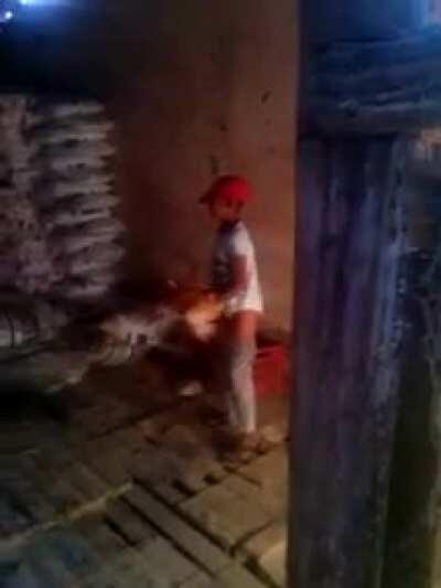 Boy nae naes a chicken