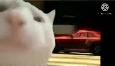 POV: 6 year old me vibing to the main menu in Burnout Revenge