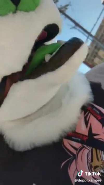 You don't need a furrsuit to be a furry:l