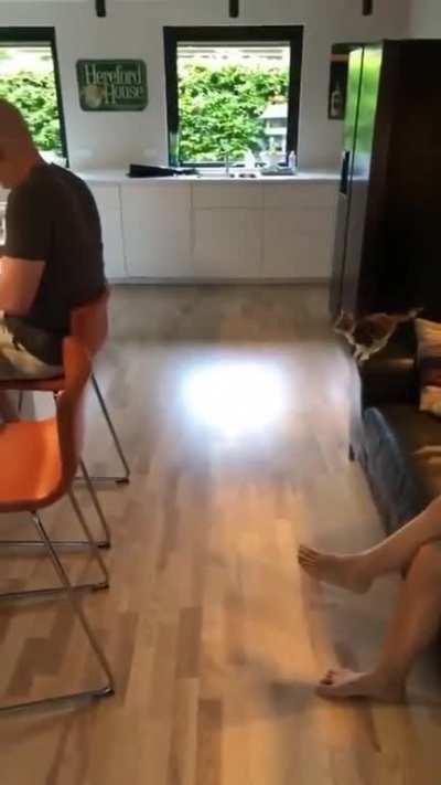 Hitcat... the early years