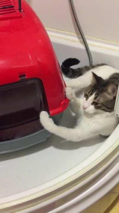 She keeps herself busy