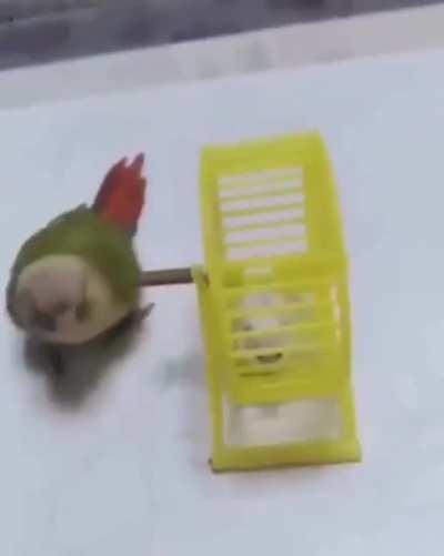 Just another training session.