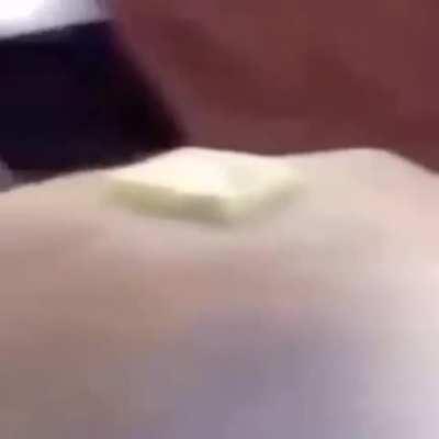 Simplemente perro mantequilla