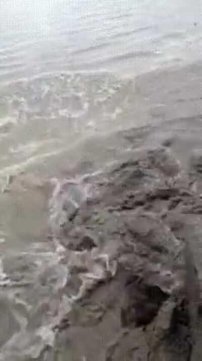 bad place to stay, definitely