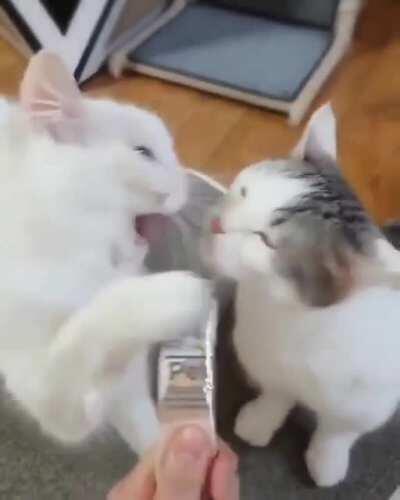 Maybe it was an accident?