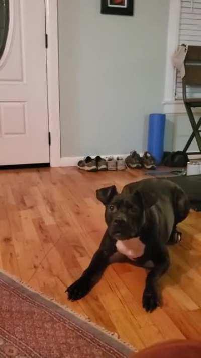 Donnie, Inspired by Tigger