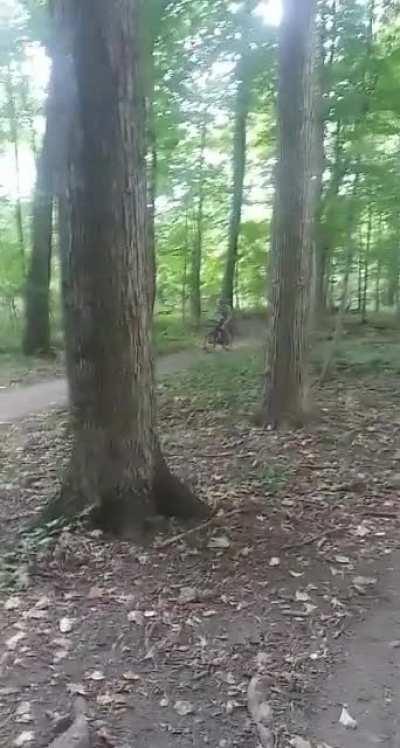 Found a few toy ramps in the woods, never done this before, full send