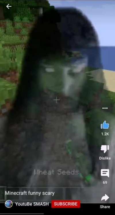 Minecraft funny scary