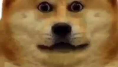 Beware the $))((&@@&