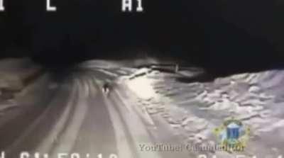 German Shepherd in Alaska was sent looking for help for his family. Their shed had caught on fire. A trooper on patrol was dispatched to the area but couldn't find the fire due to a faulty GPS. He came across him and followed him. led him to the shed fire