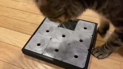 Designed and printed my own version of Cat Sudoku to challenge my feline. He’s getting faster!