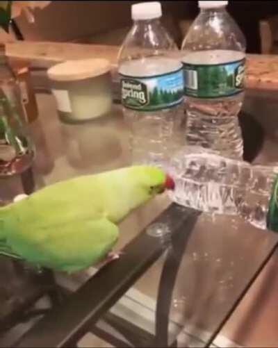 He feels very accomplished