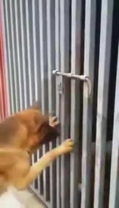 things we do for love