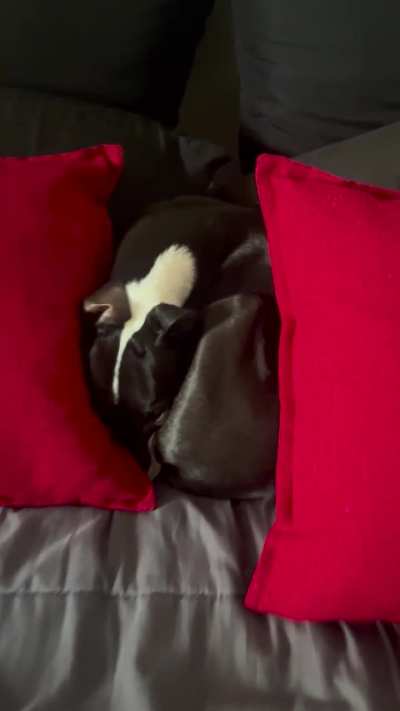 Sometimes we have to go treasure hunting for him