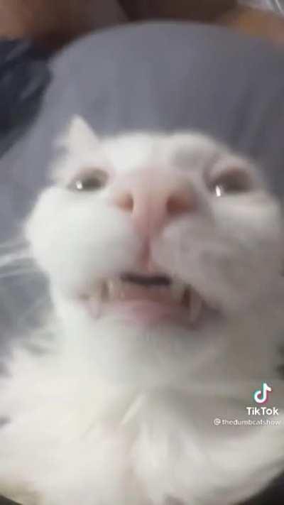 chelikopter chelikopter🎶