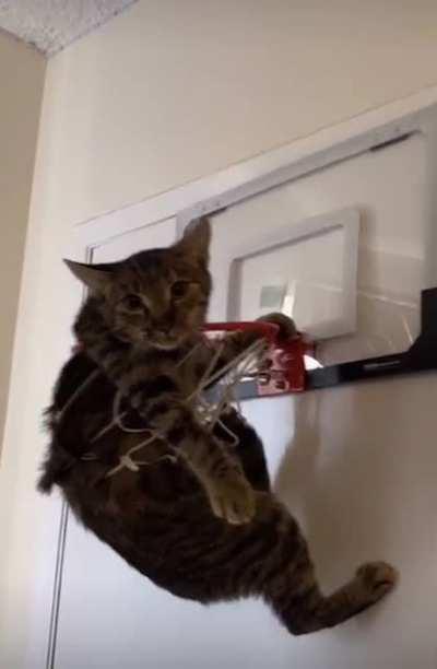 What a catastrophe!!