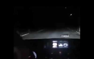 Always be aware of animal crossing the road